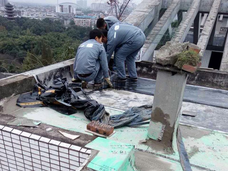 長安區(qū)防水堵漏施工價格_石家莊長安區(qū)衛(wèi)生間防水維修公司有哪些 (圖2)