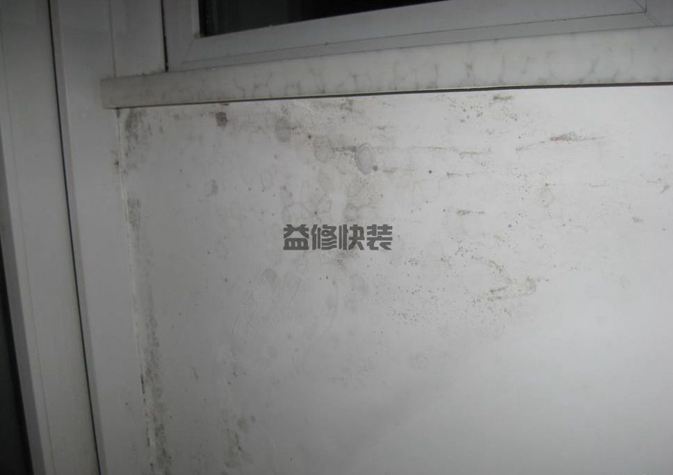 房間墻面發(fā)霉了怎么處理，試試這些簡單的方法(圖1)