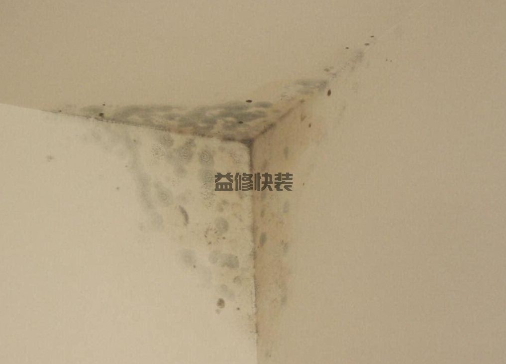 房間墻面發(fā)霉了怎么處理，試試這些簡單的方法(圖4)