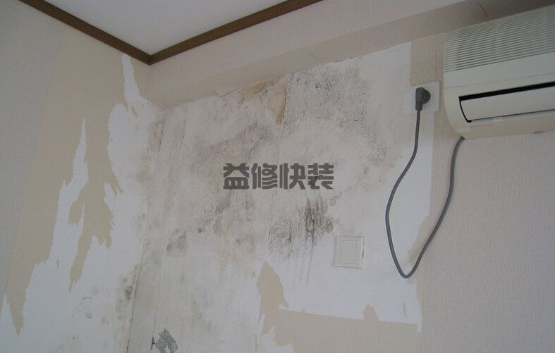 墻面上發(fā)霉如何處理干凈，墻面發(fā)霉怎么自己翻新？(圖1)