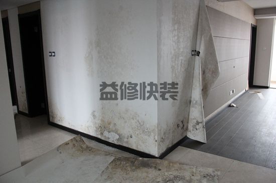 墻面上發(fā)霉如何處理干凈，墻面發(fā)霉怎么自己翻新？(圖2)