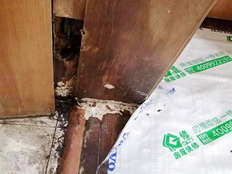 木門維修服務公司哪家好_木門安裝維修收費情況_木門安裝維修師傅哪家好(圖2)