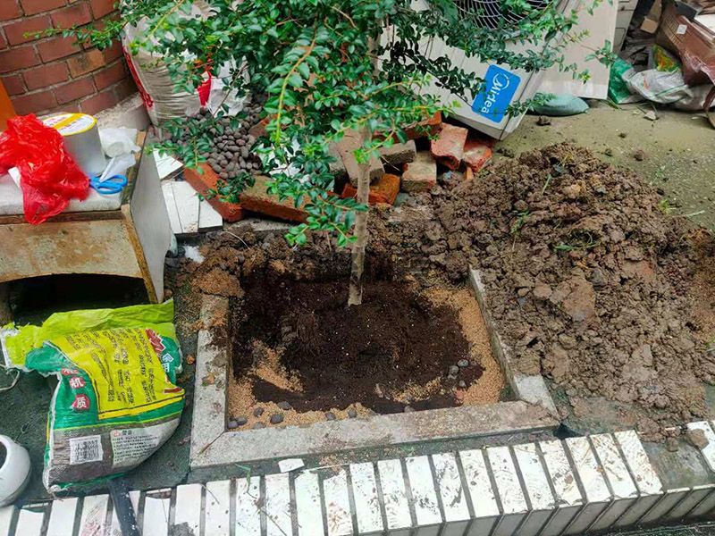 周口西華縣庭院植物防水維修,局部改造,防水補(bǔ)漏(圖3)