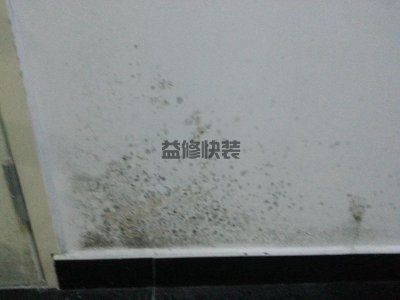 衛(wèi)生間墻角發(fā)霉怎么辦,維修公司不對外傳的4個小妙招(圖2)