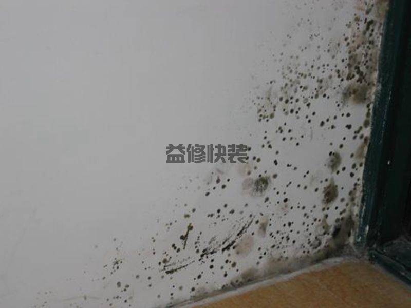 衛(wèi)生間墻角發(fā)霉怎么辦,維修公司不對外傳的4個小妙招(圖3)