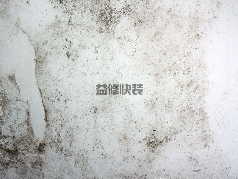 衛(wèi)生間墻角發(fā)霉怎么辦,維修公司不對外傳的4個小妙招(圖4)