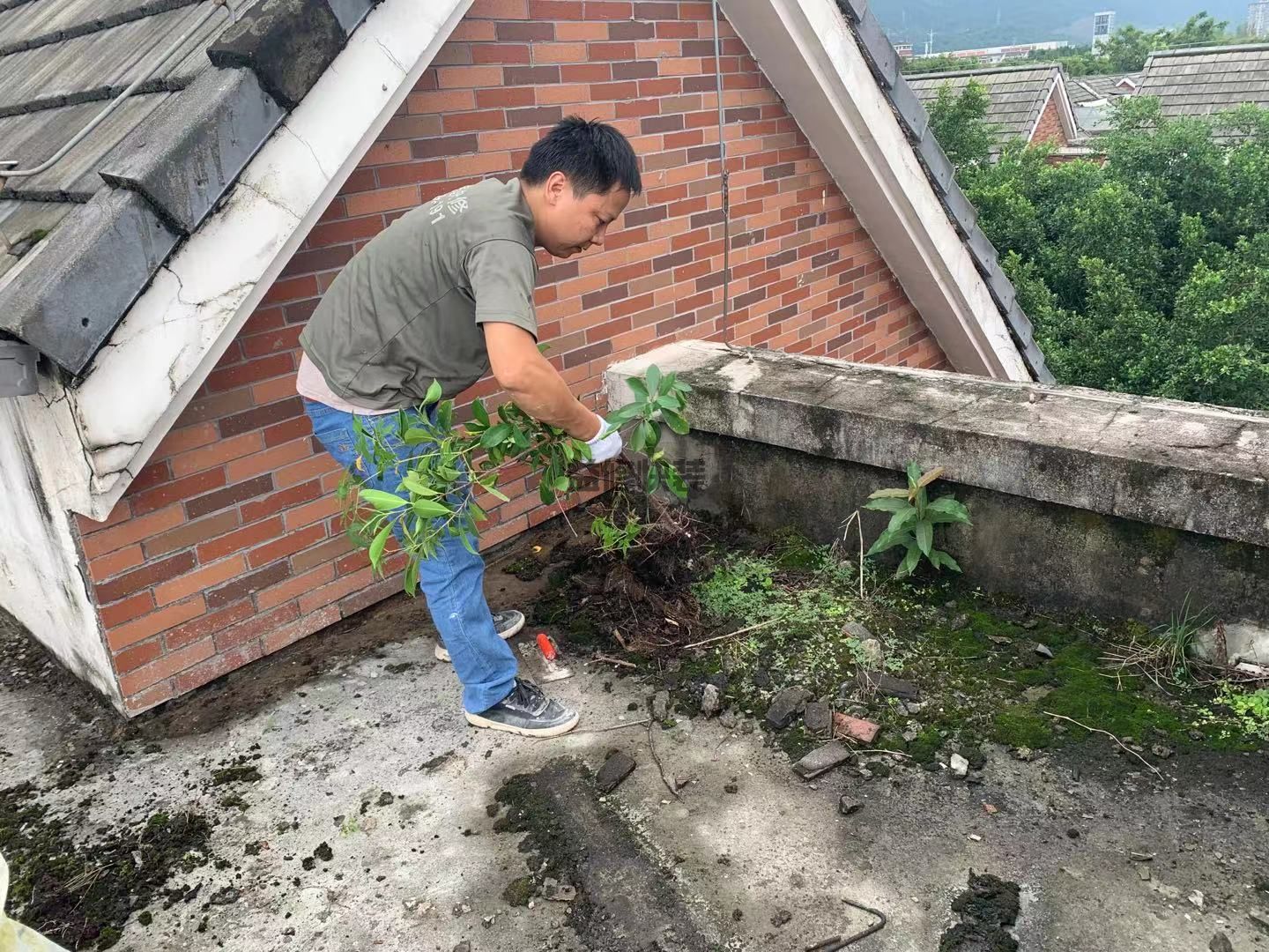 老樓的房頂漏雨，一到下雨天苦不堪言，求支招
